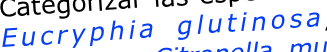 shapeimage_5_link_0